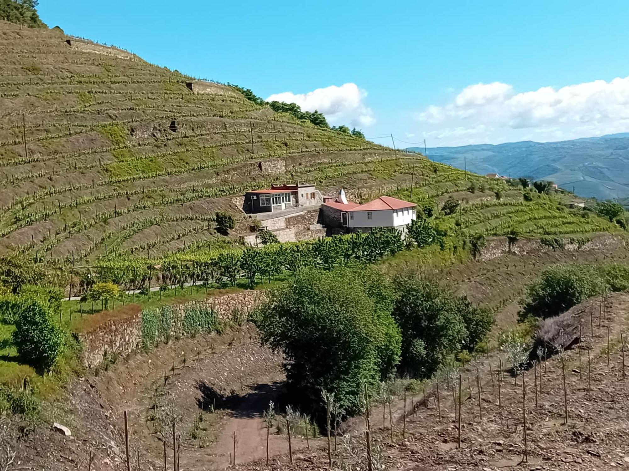 Casa Da Quinta Do Porto Villa Lamego Bagian luar foto