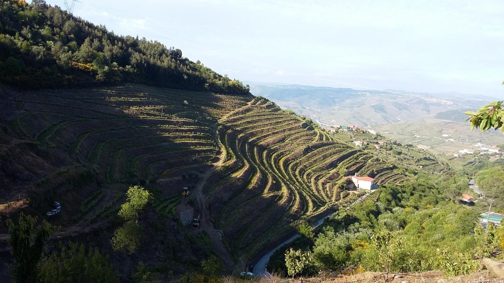 Casa Da Quinta Do Porto Villa Lamego Bagian luar foto