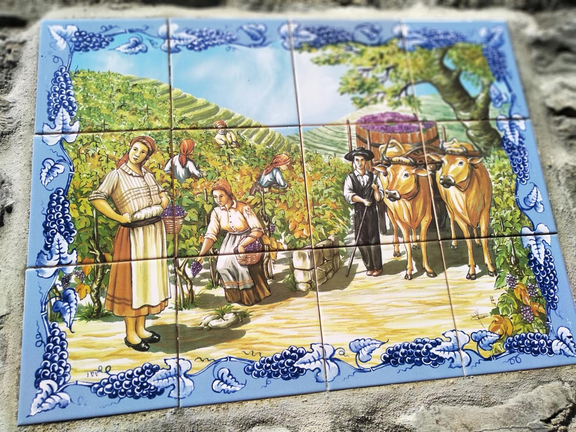 Casa Da Quinta Do Porto Villa Lamego Bagian luar foto