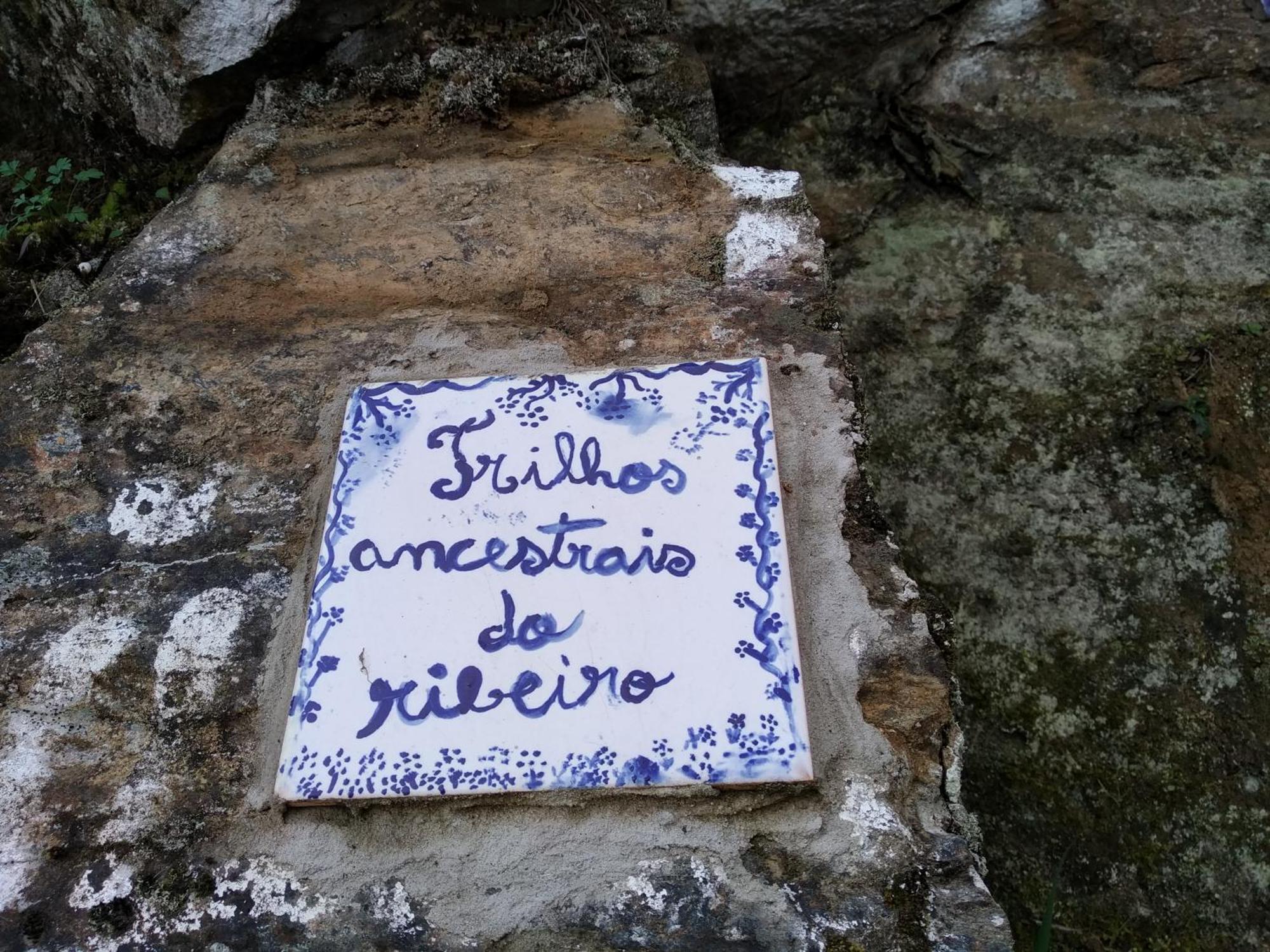 Casa Da Quinta Do Porto Villa Lamego Bagian luar foto