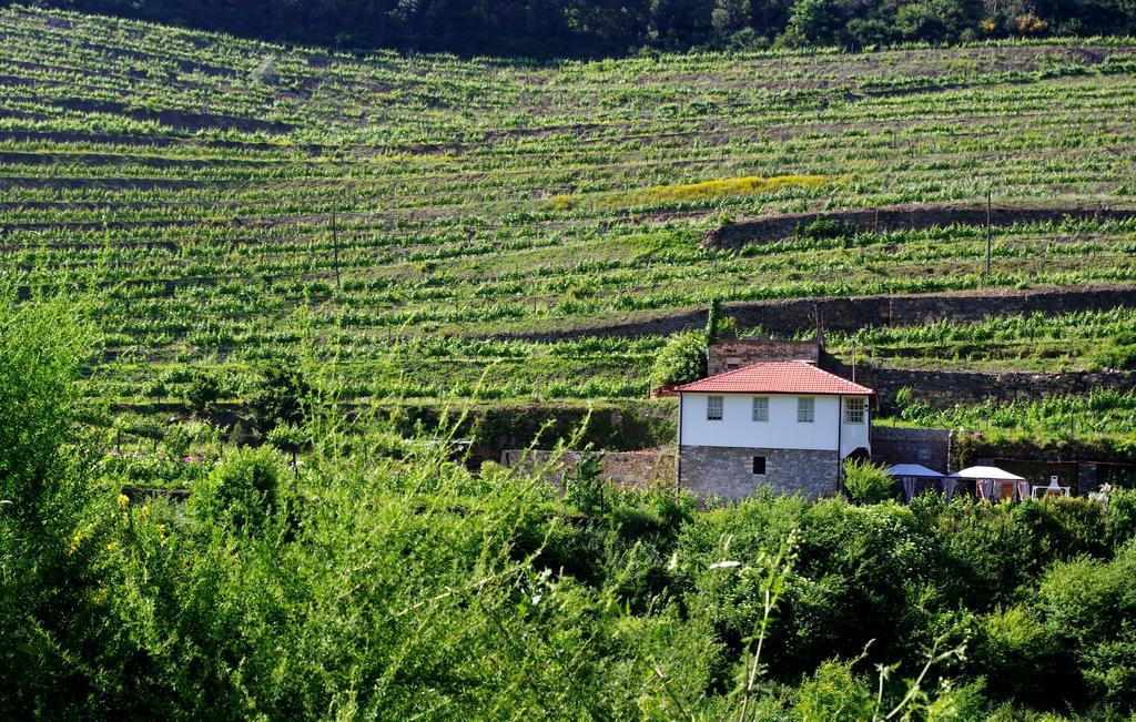 Casa Da Quinta Do Porto Villa Lamego Bagian luar foto