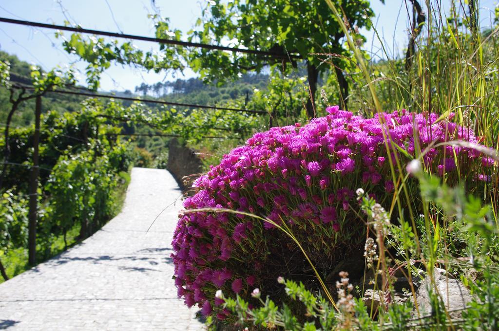 Casa Da Quinta Do Porto Villa Lamego Bagian luar foto