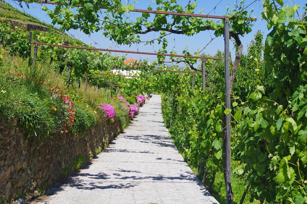 Casa Da Quinta Do Porto Villa Lamego Bagian luar foto